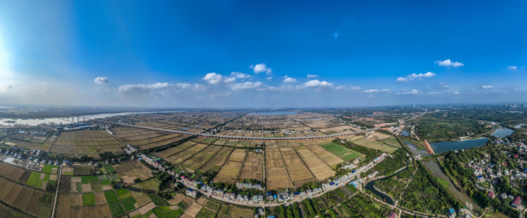 20231019310818.png 伍益高速照片(白泥湖大橋東側(cè)引橋)_副本.png